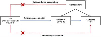 Causal relationships between COVID-19 and osteoporosis: a two-sample Mendelian randomization study in European population